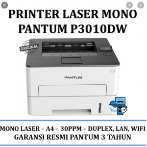 Pantum Printer Laser P3010DW